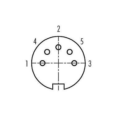 Polbild (Steckseite) 99 5618 15 05 - M16 Kabeldose, Polzahl: 5 (05-b), 6,0-8,0 mm, schirmbar, löten, IP67, UL