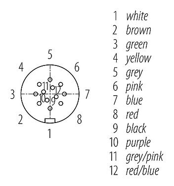 Contact arrangement (Plug-in side) Snap-In Female cable connector, Contacts: 12, unshielded, moulded on the cable, IP67, UL 2238, PUR, black, 12 x 0.25 mm², 2 m