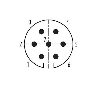 Disposición de los contactos (lado de la conexión) Push Pull Enchufe de brida, Número de contactos: 7, blindable, soldadura, IP67, M21x1,0, Montaje frontal