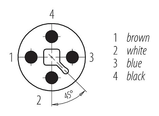 Disposición de los contactos (lado de la conexión) M12 Conector macho en ángulo, Número de contactos: 4, sin blindaje, moldeado en el cable, IP68, UL, PUR, negro, 4 x 1,50 mm², 2 m