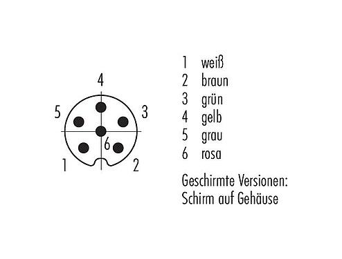 Polbild (Steckseite) M8 Kabelstecker, Polzahl: 6, geschirmt, am Kabel angespritzt, IP67, UL 2238, PVC, grau, 6 x 0,25 mm², 2 m