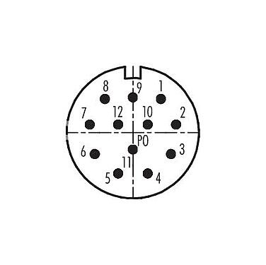コンタクト配列（接続側） 99 4605 00 12 - M23 オスコネクタケーブル, 極数: 12, 6.0-10.0mm, 非シールド, はんだ, IP67