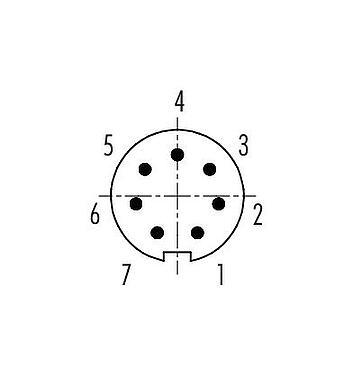 Arranjo de contato (Lado do plug-in) Baioneta Plugue de cabo, Contatos: 7, 4,0-5,0 mm, desprotegido, solda, IP40
