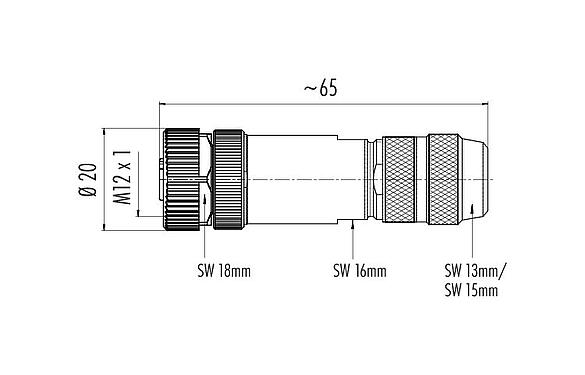 比例图 99 1528 814 04 - M12 直头孔头电缆连接器, 极数: 4, 5.0-8.0mm, 可接屏蔽, 笼式弹簧, IP67