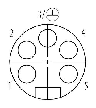 Disposizione dei contatti (lato connessione) 7/8" Connettore cavo femmina, Numero poli: 4+PE, 12,0-14,0 mm, non schermato, morsetto a vite, IP67, UL 2238, VDE