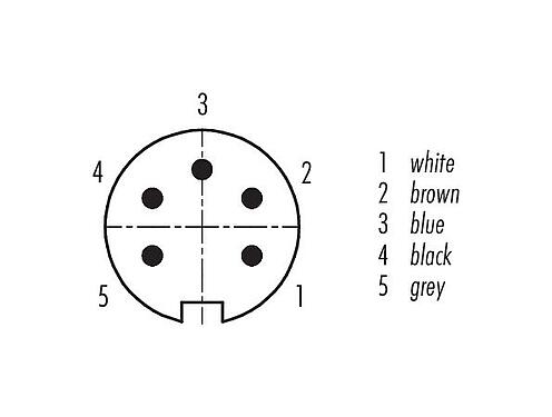 Расположение контактов (со стороны подключения) 79 6313 200 05 - M16 Угловой штекер, Количество полюсов: 5 (05-a), экранированный, формовка на кабеле, IP67, PUR, черный, 5 x 0.25 мм², 2 м