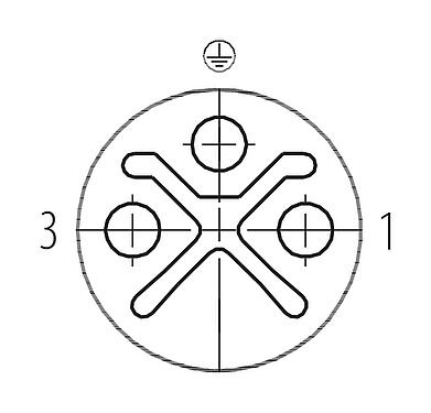 Disposition des contacts (Côté plug-in) M12 Connecteur femelle, Contacts: 2+PE, 6,0-8,0 mm, non blindé, pince à visser, IP67, UL 2238