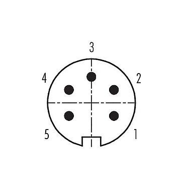 Disposition des contacts (Côté plug-in) 09 0113 79 05 - M16 Connecteur mâle, Contacts: 5 (05-a), 6,0-8,0 mm, non blindé, souder, IP67