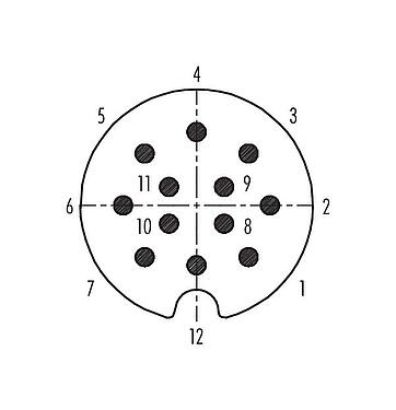 Polbild (Steckseite) Bajonett Kabelstecker, Polzahl: 12, 5,0-8,0 mm, schirmbar, löten, IP40