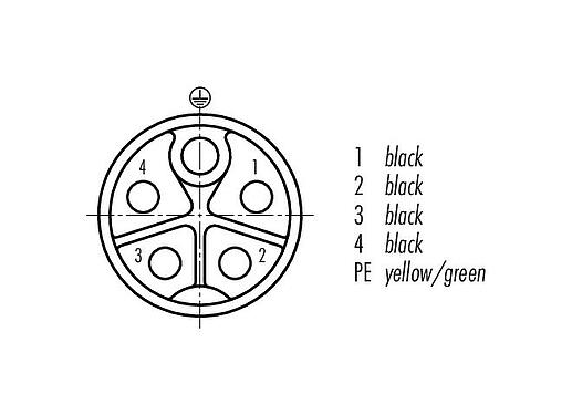 Disposición de los contactos (lado de la conexión) 77 0670 0000 50505-0200 - M12 Conector de cable hembra, Número de contactos: 4+PE, sin blindaje, moldeado en el cable, IP68, UL, PUR, negro, 5 x 2,50 mm², 2 m