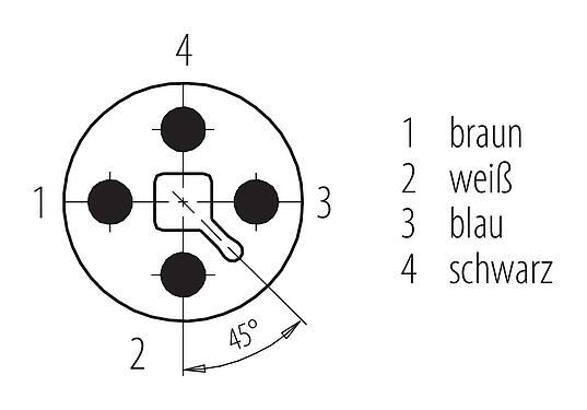Polbild (Steckseite) M12 Kabelstecker, Polzahl: 4, ungeschirmt, am Kabel angespritzt, IP68, UL 2238, PUR, schwarz, 4 x 1,50 mm², 2 m