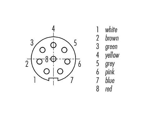 Disposition des contacts (Côté plug-in) M9 Connecteur femelle, Contacts: 8, non blindé, surmoulé sur le câble, IP67, PUR, noir, 8 x 0,14 mm², 5 m