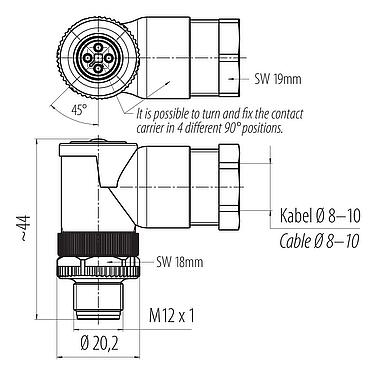 Dibujo a escala M12 Conector macho en ángulo, Número de contactos: 4, 8,0-10,0 mm, sin blindaje, tornillo extraíble, IP67, UL 2238, VDE