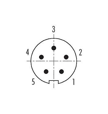 コンタクト配列（接続側） 99 0413 10 05 - M9 オスコネクタケーブル, 極数: 5, 3.5-5.0mm, シールド可能, はんだ, IP67