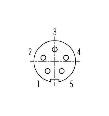 Contact arrangement (Plug-in side) 09 0998 00 05 - Bayonet Female panel mount connector, Contacts: 5, unshielded, solder, IP40