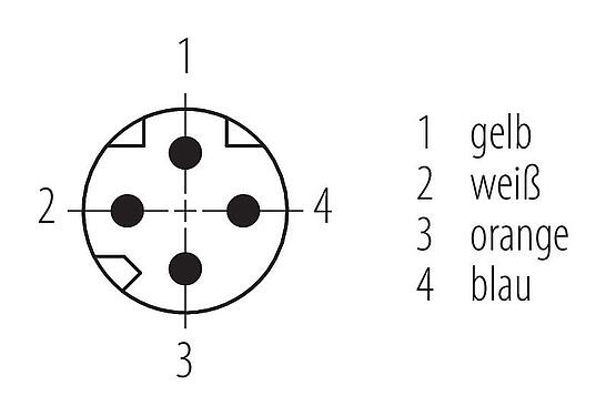Polbild (Steckseite) M8 Kabelstecker, Polzahl: 4, geschirmt, am Kabel angespritzt, IP67, Profinet/Ethernet CAT5e, PUR, grün, 4 x AWG 22, 5 m