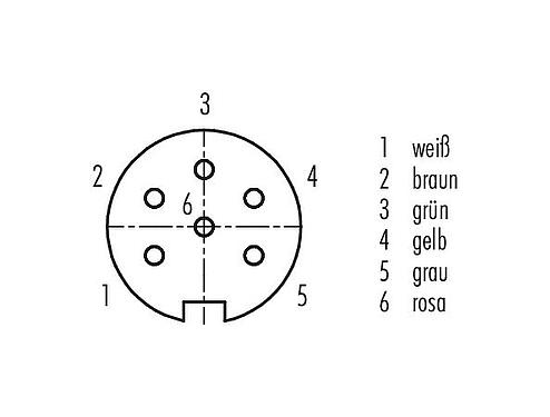 Polbild (Steckseite) M16 Flanschdose, Polzahl: 6 (06-a), ungeschirmt, Litzen, IP67, UL 2238, M18x0,75, Rückwandmontage