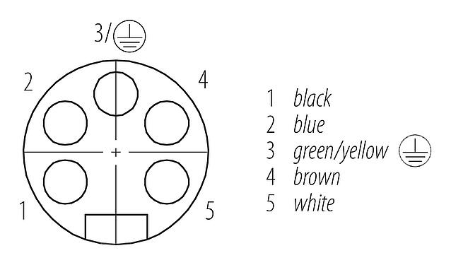 Disposition des contacts (Côté plug-in) 7/8" Connecteur femelle, Contacts: 5, non blindé, surmoulé sur le câble, IP68, UL 2238, PUR, noir, 5 x 1,50 mm², 2 m