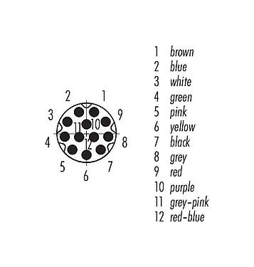 Contact arrangement (Plug-in side) M8 Male angled connector, Contacts: 12, unshielded, moulded on the cable, IP67/IP69K, UL 2238, PUR, black, 12 x AWG 28, 5 m
