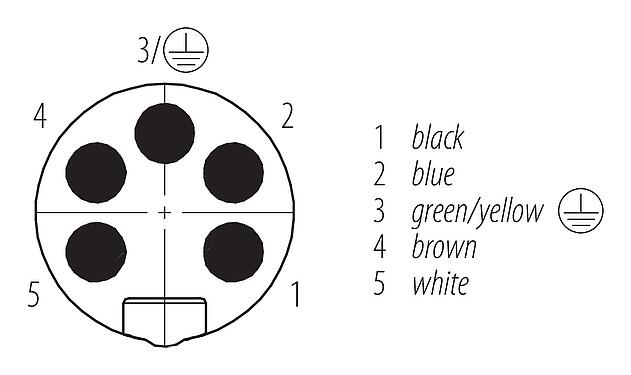 Disposición de los contactos (lado de la conexión) 7/8" Enchufe de brida, Número de contactos: 4+PE, sin blindaje, hilos, IP68, UL 2238, VDE, PG 11, Montaje frontal