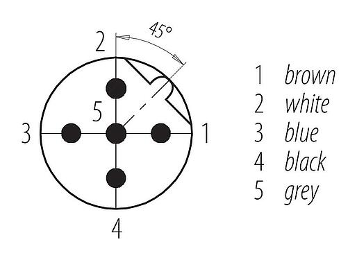 Arranjo de contato (Lado do plug-in) M12 Bujão flangeado, Contatos: 5, desprotegido, fios simples, IP68, UL 2238, PG 9, Montagem frontal