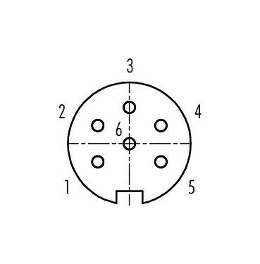 コンタクト配列（接続側） 09 0124 99 06 - M16 メスパネルマウントコネクタ, 極数: 6 (06-a), 非シールド, THT, IP67, UL, 前面取り付け