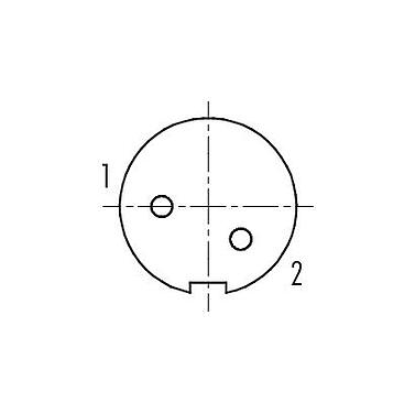 Расположение контактов (со стороны подключения) 09 0404 55 02 - M9 Фланцевая розетка, угловая, Количество полюсов: 2, экранируемый, THT, IP67, привинчивается спереди