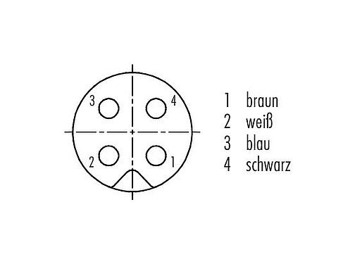 Polbild (Steckseite) M5 Kabeldose, Polzahl: 4, geschirmt, am Kabel angespritzt, IP67, UL 2238, M5x0,5, PUR, schwarz, 4 x 0,14 mm², 5 m