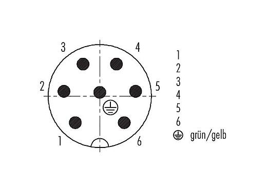 Polbild (Steckseite) 99 4217 70 07 - RD24 Winkelstecker, Polzahl: 6+PE, 6,0-8,0 mm, ungeschirmt, schraubklemm, IP67, UL, ESTI+, VDE, PG 9