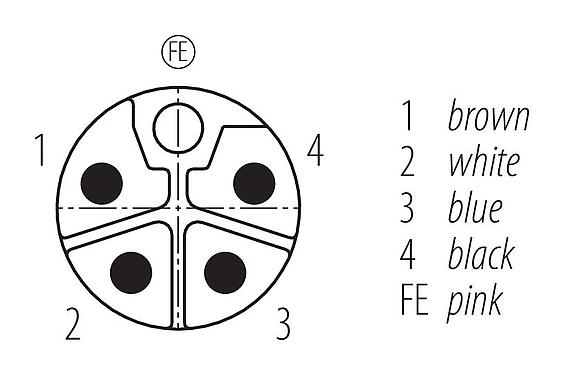 Disposition des contacts (Côté plug-in) 77 0649 0000 70505-0500 - M12 Connecteur mâle, Contacts: 4+FE, non blindé, surmoulé sur le câble, IP68, M12x1,0, PUR, noir, 5 x 1,50 mm², UL en préparation, 5 m