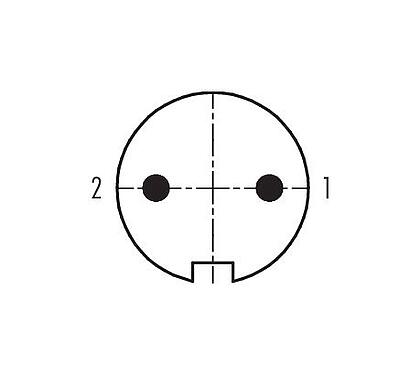 Disposition des contacts (Côté plug-in) 99 2001 20 02 - M16 Connecteur mâle, Contacts: 2 (02-a), 6,0-8,0 mm, blindable, souder, IP40
