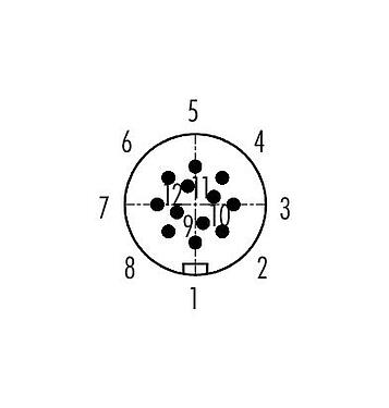 コンタクト配列（接続側） 99 9133 462 12 - スナップイン オスコネクタケーブル, 極数: 12, 6.0-8.0mm, 非シールド, はんだ, IP67