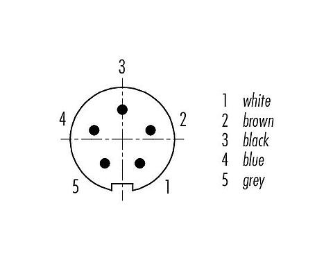 Disposition des contacts (Côté plug-in) M9 Connecteur mâle, Contacts: 5, non blindé, surmoulé sur le câble, IP67, PUR, noir, 5 x 0,25 mm², 5 m