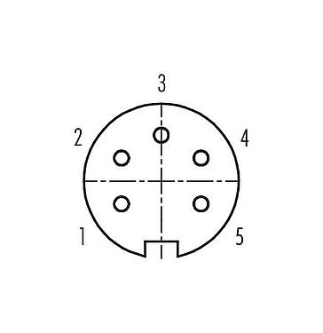 Disposition des contacts (Côté plug-in) 99 0114 118 05 - M16 Connecteur femelle coudé, Contacts: 5 (05-a), 4,0-6,0 mm, non blindé, souder, IP67