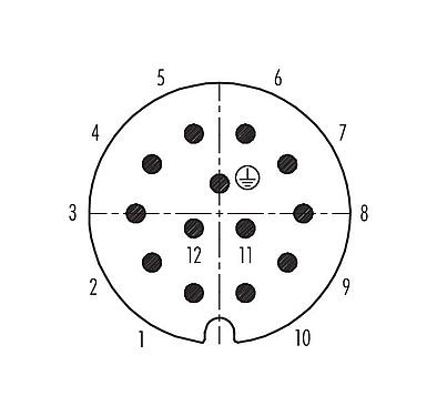 Disposition des contacts (Côté plug-in) 99 0719 00 13 - RD30 Embase mâle, Contacts: 12+PE, non blindé, souder, IP65