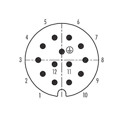 Расположение контактов (со стороны подключения) 99 0717 00 13 - RD30 Кабельный штекер, Количество полюсов: 12+PE, 10,0-12,0 мм, не экранированный, пайка, IP65