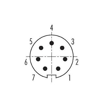 Disposición de los contactos (lado de la conexión) 99 0421 75 07 - M9 Conector macho en ángulo, Número de contactos: 7, 3,5-5,0 mm, blindable, soldadura, IP67