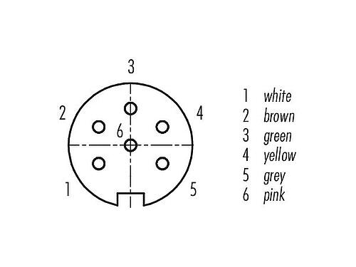 Pólus ábra (csatlakozó oldal) M16 panelre szerelhető foglalat, : 6 (06-a), árnyékolatlan, sodrott vezeték, IP40, M18x0,75, hátsó panel felszerelés