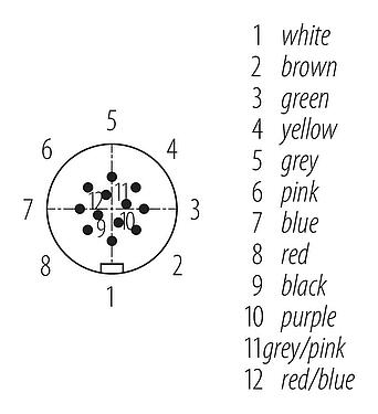Contact arrangement (Plug-in side) Snap-In Male cable connector, Contacts: 12, unshielded, moulded on the cable, IP67, UL 2238, PUR, black, 12 x 0.25 mm², 2 m
