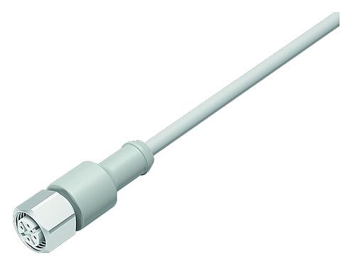 Illustration M12 Female cable connector, Contacts: 12, unshielded, moulded on the cable, IP67/IP69K, Ecolab, FDA compliant, Special TPE, grey, 12 x 0.25 mm², stainless steel, 2 m