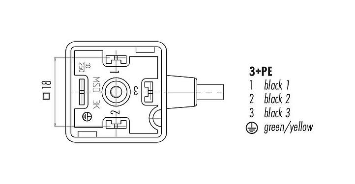 Contact arrangement (Plug-in side) Female solenoid valve connector, Contacts: 3+PE, unshielded, moulded on the cable, IP67, PUR, black, 5 m