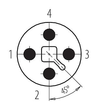 Disposición de los contactos (lado de la conexión) M12 Conector de cable macho, Número de contactos: 4, 5,0-8,0 mm, blindable, tornillo extraíble, IP67, UL 2238, Pluma de iris
