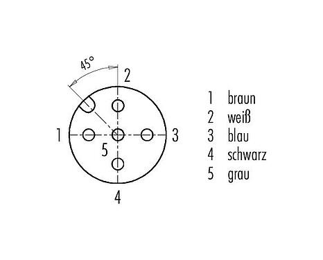 Polbild (Steckseite) M12 Kabeldose, Polzahl: 5, ungeschirmt, am Kabel angespritzt, IP67/IP69K, Ecolab, FDA konform, Spezial TPE, grau, 5 x 0,34 mm², Edelstahl, 2 m