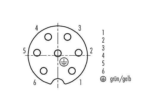 Polbild (Steckseite) RD24 Winkeldose, Polzahl: 6+PE, 8,0-10,0 mm, ungeschirmt, löten, IP67, UL, ESTI+, VDE, PG 11