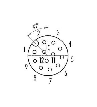 Polbild (Steckseite) M12 Kabeldose, Polzahl: 12, 6,0-8,0 mm, schirmbar, löten, IP67, UL 2238, mit Schirmring