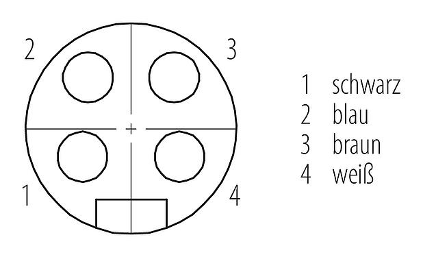 Polbild (Steckseite) 7/8" Flanschdose, Polzahl: 4, ungeschirmt, Litzen, IP68, UL 2238, VDE, M20x1,5, Frontmontage