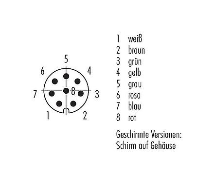 Polbild (Steckseite) M8 Kabelstecker, Polzahl: 8, geschirmt, am Kabel angespritzt, IP67, UL 2238, PVC, grau, 8 x 0,25 mm², 2 m