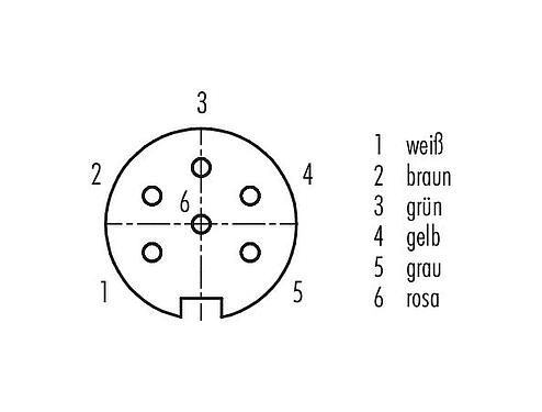 Polbild (Steckseite) M16 Flanschdose, Polzahl: 6 (06-a), ungeschirmt, Litzen, IP40, M18x0,75, Rückwandmontage