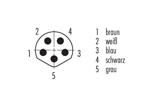 Polbild (Steckseite) M8 Kabelstecker, Polzahl: 5, ungeschirmt, am Kabel angespritzt, IP65, PUR, schwarz, 5 x 0,34 mm², Snap-in Version, 5 m