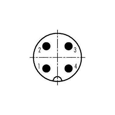 Contactconfiguratie (aansluitzijde) 09 0441 50 04 - M18 Male chassideel, aantal polen: 4, onafgeschermd, soldeer, IP67